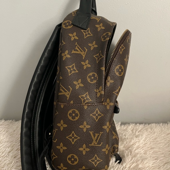 Louis Vuitton Palm Springs PM Backpack - Picture 4 of 7